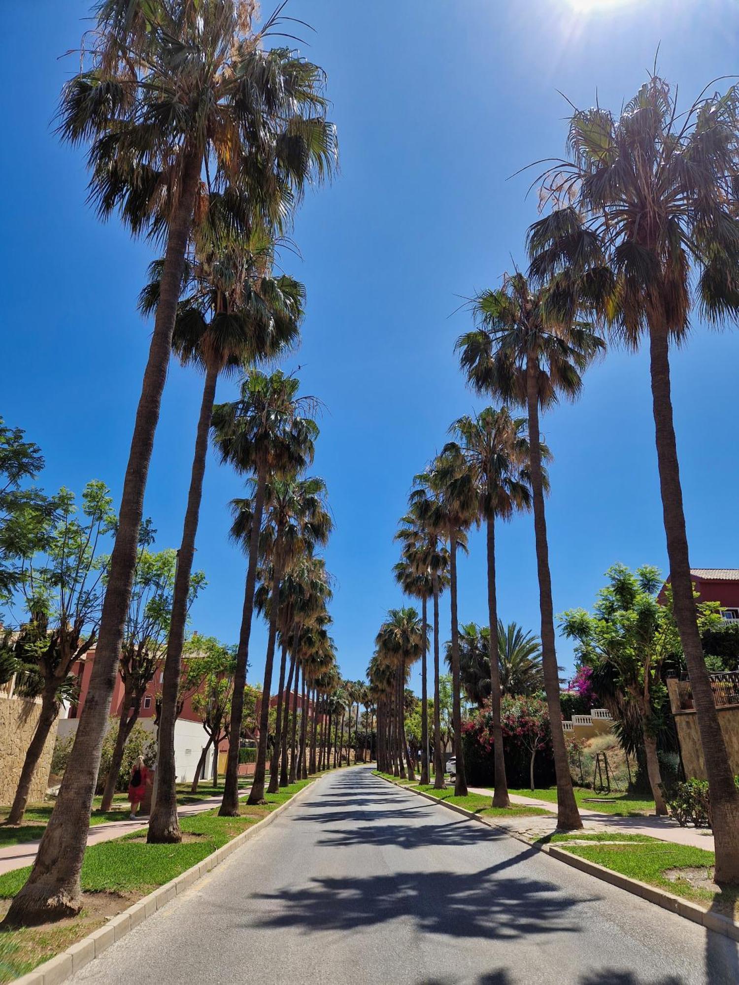 ベナルマデナPenthouse Benalvistas Torregolf Seaviewアパートメント エクステリア 写真